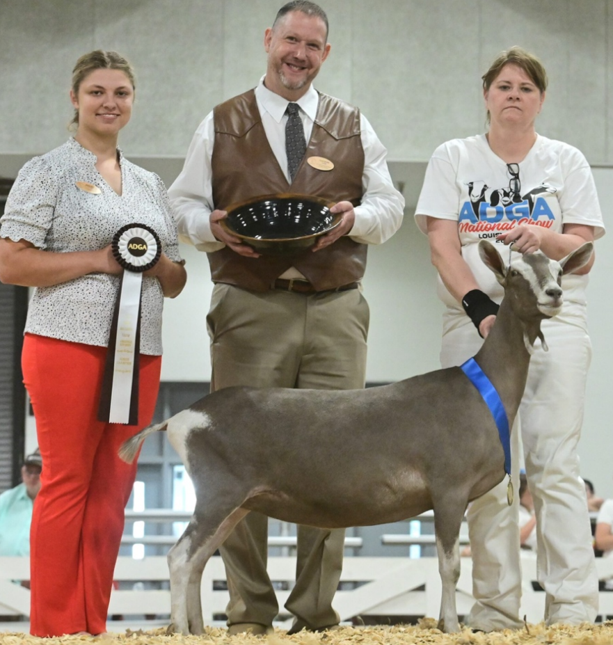 Jinjer's Dam - Moss Ridge Janko Junie