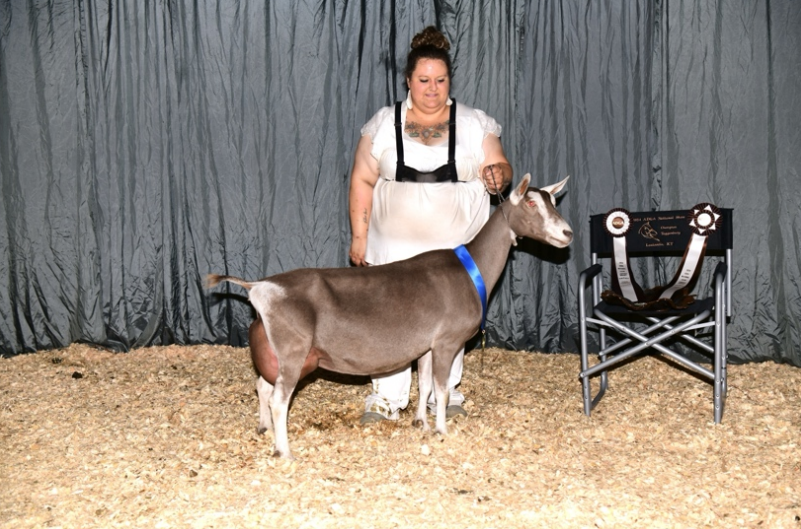 Jinjer's Grandmother - Evie