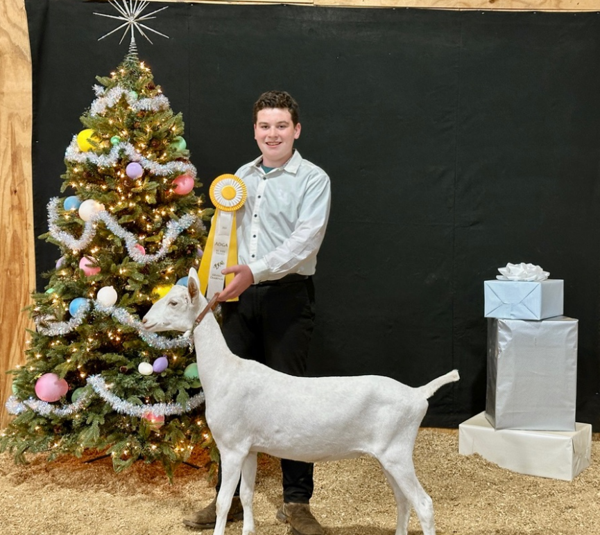 Spinning Spider Polly's Promise - 2024 Jr. Champion